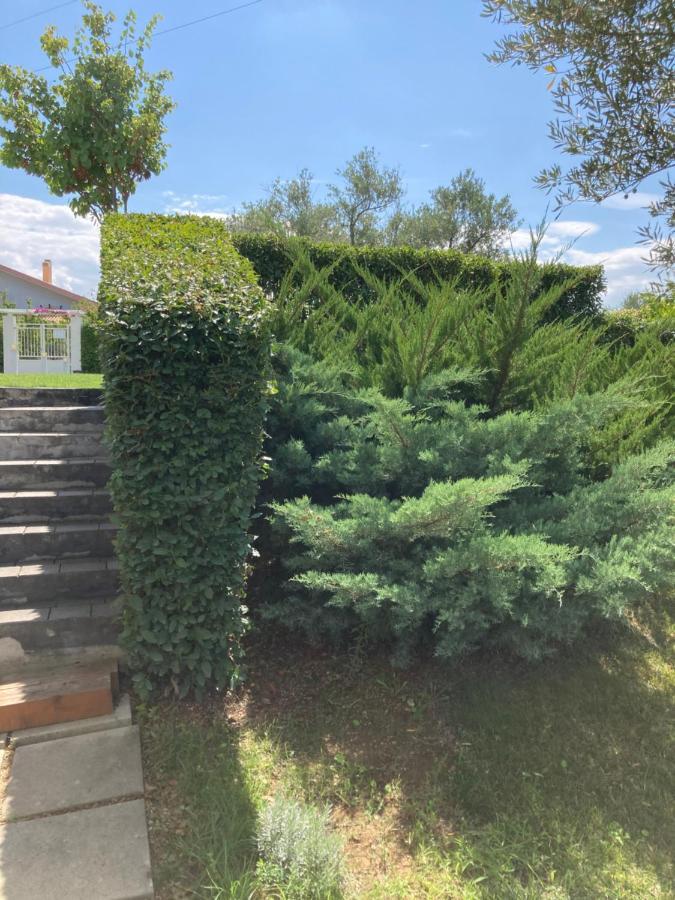 مبيت وإفطار Torrevecchia Teatina Gioia In Collina المظهر الخارجي الصورة