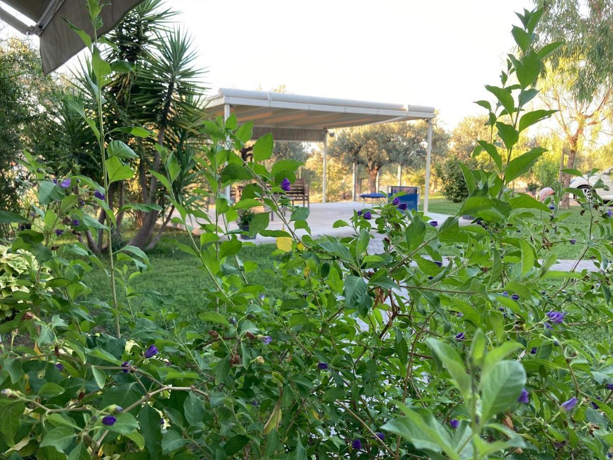 مبيت وإفطار Torrevecchia Teatina Gioia In Collina المظهر الخارجي الصورة